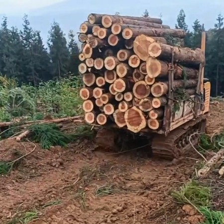 Crawler Dumper Logs ການຂົນສົ່ງໃນລົດບັນທຸກປ່າໄມ້